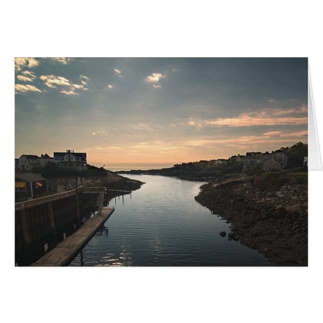 セーフハーバーカード (正面横)