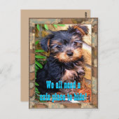 セーフプレイポストカード ポストカード (正面/裏面)