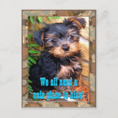 セーフプレイポストカード ポストカード (正面)