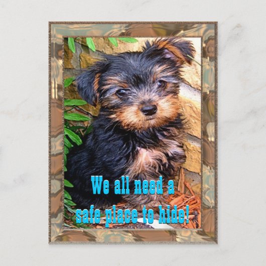 セーフプレイポストカード ポストカード (正面)