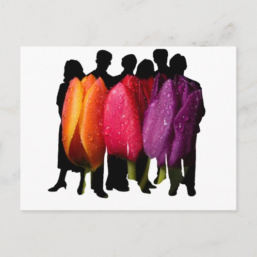 セーフヘイブン ポストカード (正面)