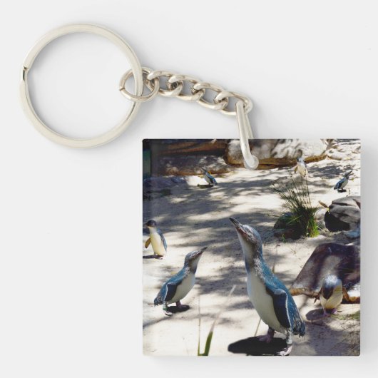 セーフヘイブン: 妖精ペンギンの楽園 キーホルダー (正面)