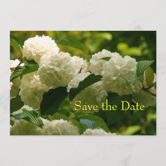 セーブザデート