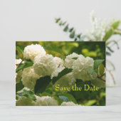 セーブザデート (スタンド正面)