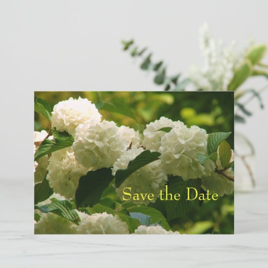 セーブザデート (スタンド正面)