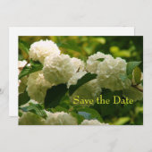 セーブザデート (正面/裏面)