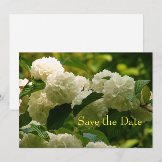 セーブザデート (正面/裏面)