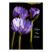 セーブザデート (正面)