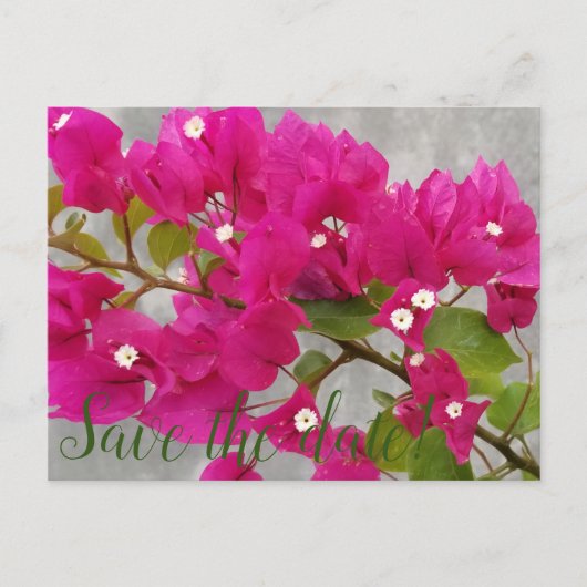 セーブザデート! ポストカード (正面)