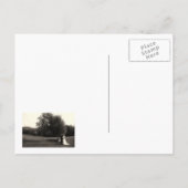 セーブザデート.結婚感謝 案内ポストカード (裏面)