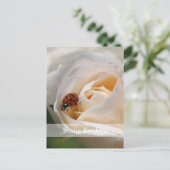 セーブザデート.美しい白いバラの花 案内ポストカード (スタンド正面)