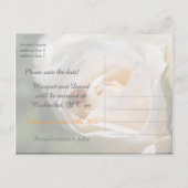 セーブザデート.美しい白いバラの花 案内ポストカード (裏面)