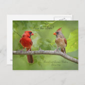 セーブザデート!（鳥）ショウジョウコウカンチョウ対 案内ポストカード (正面/裏面)