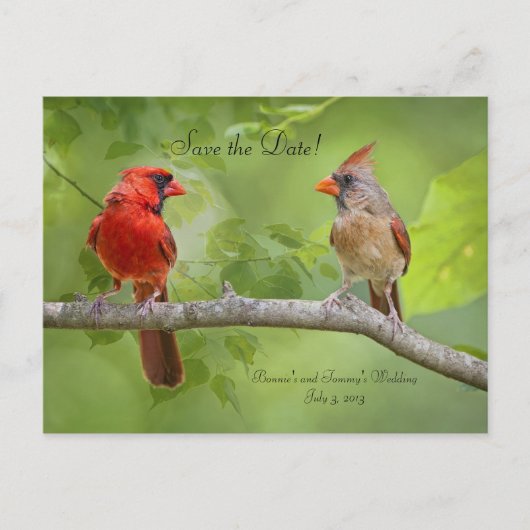 セーブザデート!（鳥）ショウジョウコウカンチョウ対 案内ポストカード (正面)