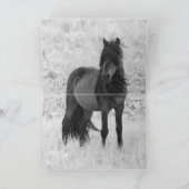 セーブルアイランドスタリオンワイルドホースグレティングカード カード (内部)