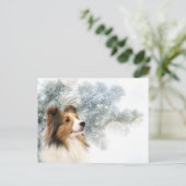 セーブルシェットランド・ シープドッグクリスマス シーズンポストカード (スタンド正面)