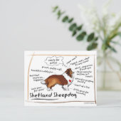セーブルシェットランド・ シープドッグ ポストカード (スタンド正面)