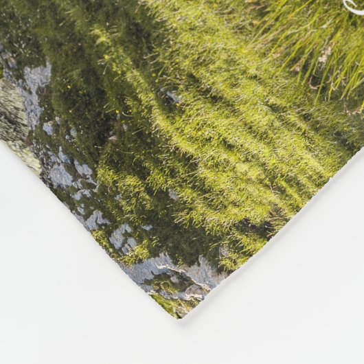 セーブルラフのコリーの牧羊パーソナライズされた- フリースブランケット (角)