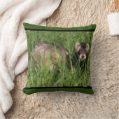 セーブルヴァーゼル写真オブアフェレット クッション (ブランケット)