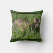 セーブルヴァーゼル写真オブアフェレット クッション (裏面)