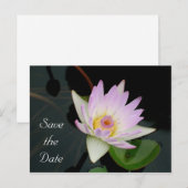 セーブ・ザ・デート案内はがき 案内ポストカード (正面/裏面)