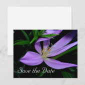 セーブ・ザ・デート案内はがき 案内ポストカード (正面/裏面)