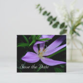 セーブ・ザ・デート案内はがき 案内ポストカード (スタンド正面)