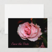 セーブ・ザ・デート案内はがき 案内ポストカード (正面/裏面)