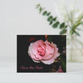 セーブ・ザ・デート案内はがき 案内ポストカード (スタンド正面)