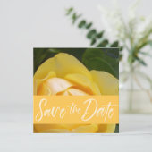 セーブ・ザ・デート案内カード カード (スタンド正面)