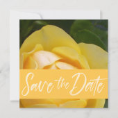 セーブ・ザ・デート案内カード カード (正面)