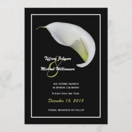 セーブ・ザ・デート案内招待状 セーブザデート