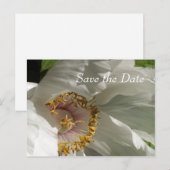 セーブ・ザ・デート 案内ポストカード (正面/裏面)