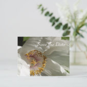 セーブ・ザ・デート 案内ポストカード (スタンド正面)