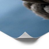 セーラーズノット ポスター (角)