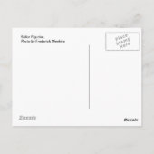 セーラーフィギュア ポストカード (裏面)