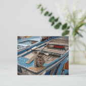 セーラー猫はがき|過去記事 ポストカード (スタンド正面)