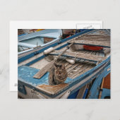 セーラー猫はがき|過去記事 ポストカード (正面/裏面)