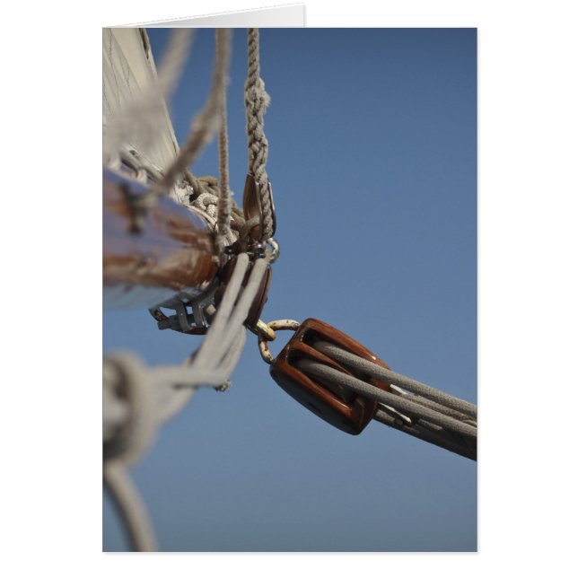 セーリングジブ (正面)