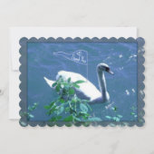 セーリングスワンサンキューカード 招待状 (正面)