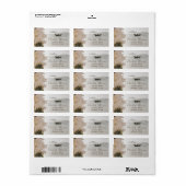 セーリングボートフラワーズビーチ ラベル (フルシート)