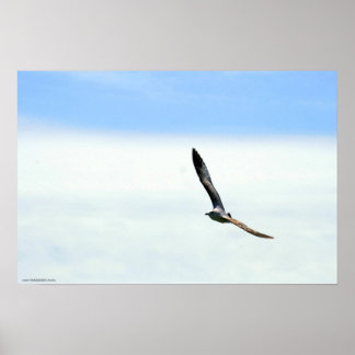 セーリング – カスタマイズ ポスター