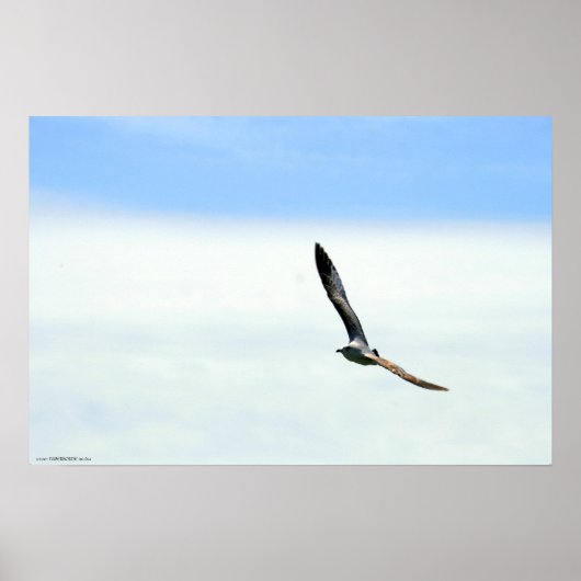 セーリング – カスタマイズ ポスター (正面)