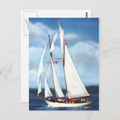 セーリング ポストカード (正面/裏面)
