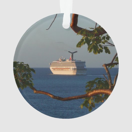 セールアット遠くにサンセットIクルーズバケーション オーナメント (裏面)