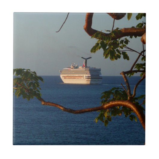 セールアット遠くにサンセットIクルーズバケーション タイル (正面)