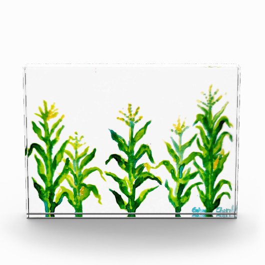 ゼアマイズ フォトブロック (正面)