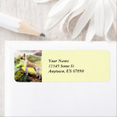 ゼウスのレーベルの大ダーン渓谷 ラベル (インサイチュ)