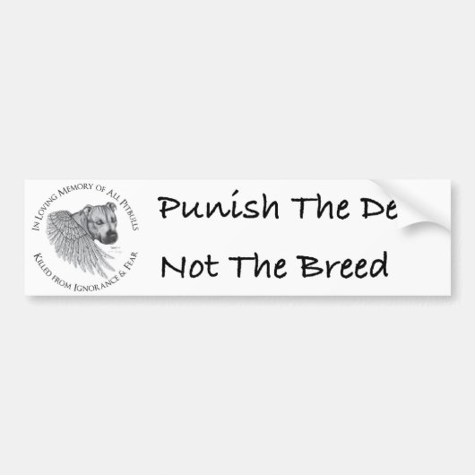 ゼウスの天使 バンパーステッカー (正面)