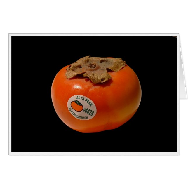 ゼウスの火 (正面横)